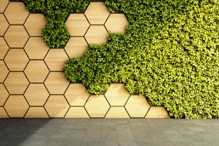 KINGKONG金刚刮刮乐