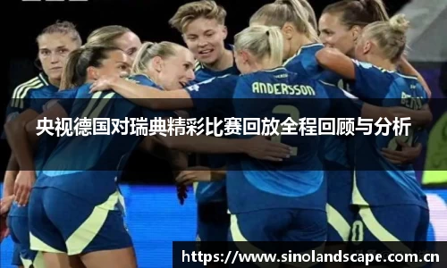 央视德国对瑞典精彩比赛回放全程回顾与分析